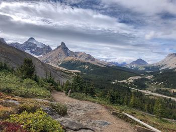 Parker ridge, jasper national park, ab, canada