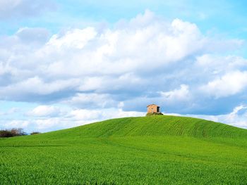 Scenic view of agricultural field against sky
