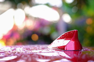 Close-up of wet red car