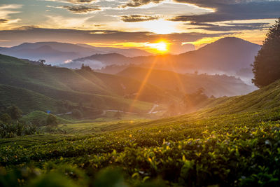 Scenic view of field against sky during sunset