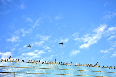 Flock of birds flying against sky