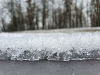 Close-up of snow on tree during winter