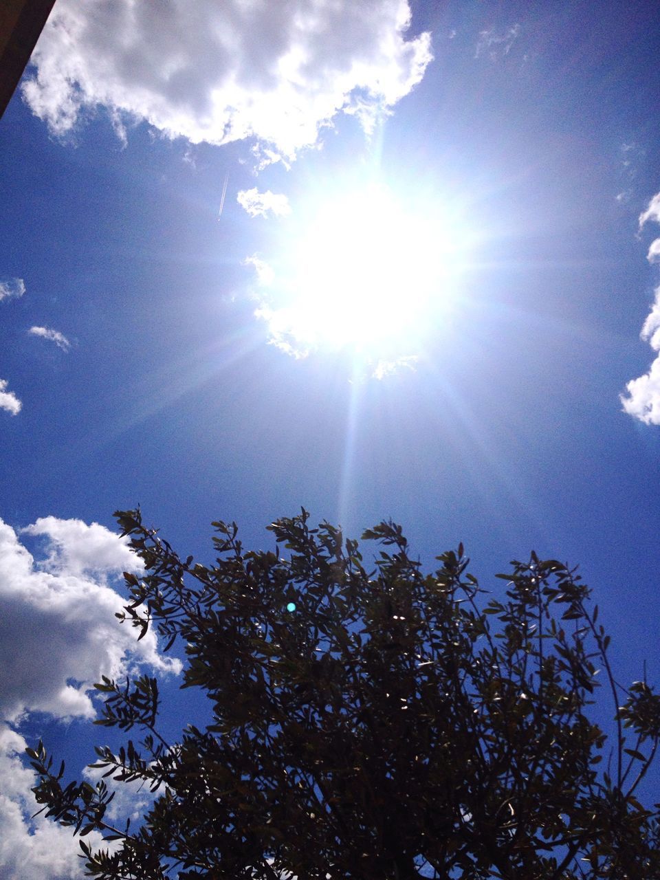 low angle view, sun, sunbeam, sky, sunlight, lens flare, tree, cloud - sky, blue, nature, sunny, bright, day, beauty in nature, tranquility, no people, outdoors, cloud, growth, branch