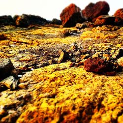 Close-up of rocks