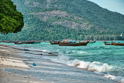 Thai traditional long tail boats resting on the shores of the magical island koh lipe