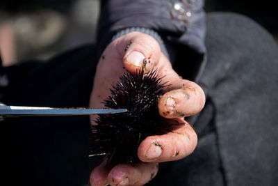 Close-up of person working