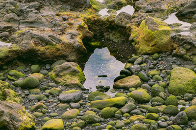 High angle view of rocks in sea