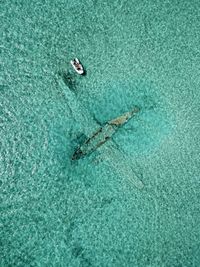 Aerial view of boat in sea