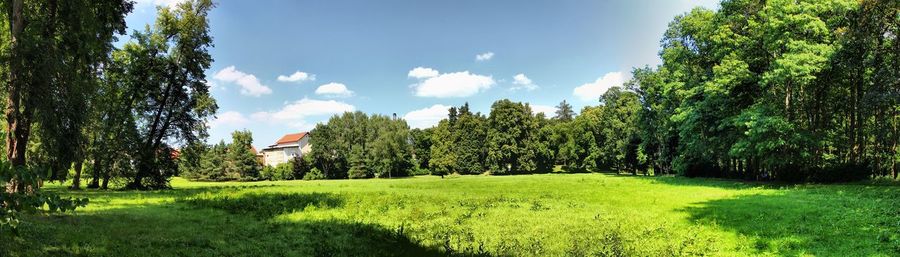 Scenic view of grassy field against sky