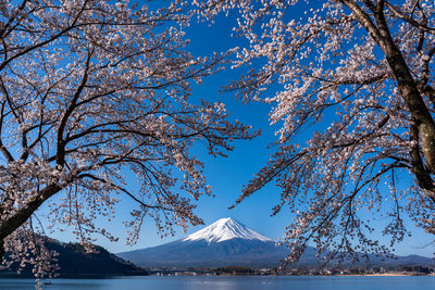 View of snow covered mountain against sky