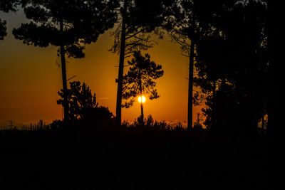 Silhouette trees against sky during sunset