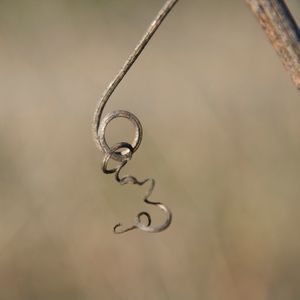 Close-up of chain