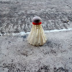 High angle view of woman standing on street