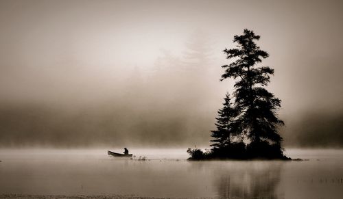 Silhouette man on boat sailing by tree lake against sky