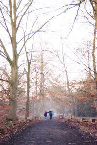 Rear view of men walking on bare trees in forest