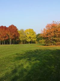 Trees growing on field against sky during autumn