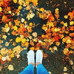 Low section of woman standing on road covered with autumn leaves