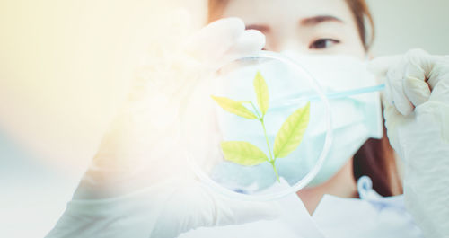 Scientist with plant on petri dish