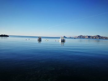 Sailboats in sea against clear blue sky