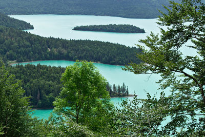 Scenic view of river in forest against sky