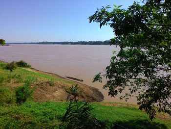 Scenic view of agricultural field against clear sky