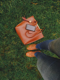 Low section of person wearing shoes on field