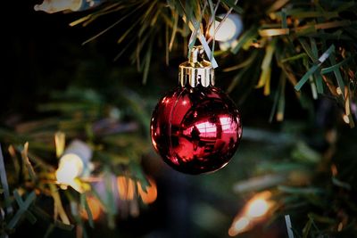 Close-up of christmas decoration hanging on tree