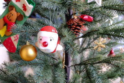 Close-up of christmas decorations hanging on tree