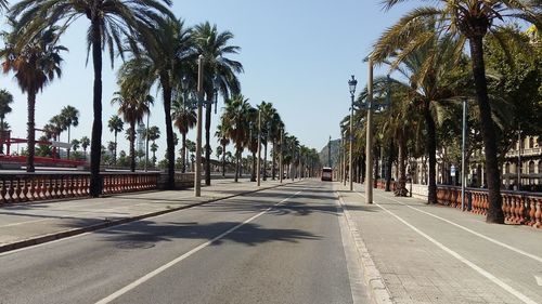 Road amidst palm trees against clear sky