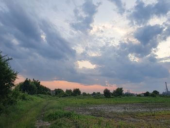 Scenic view of field against sky during sunset