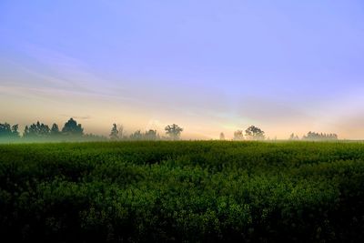 Scenic view of field against sky during sunset