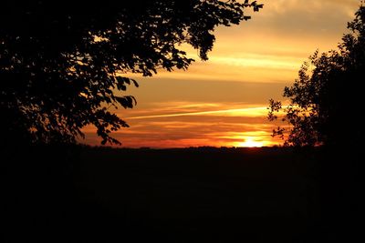 Silhouette trees against sky during sunset