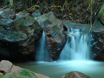 Close-up of waterfall in forest