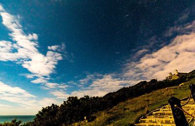 Low angle view of trees against sky