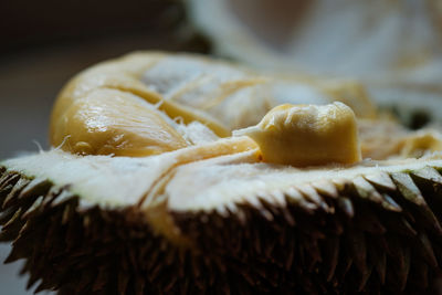 Close-up of bread