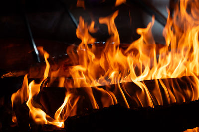 Close-up of bonfire at night