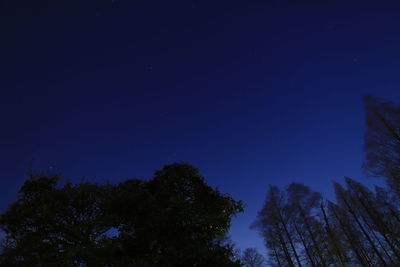 Low angle view of trees against clear blue sky