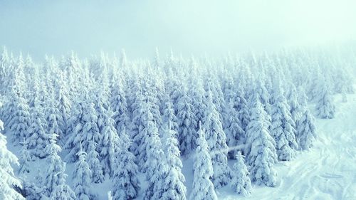 Scenic view of snow covered landscape