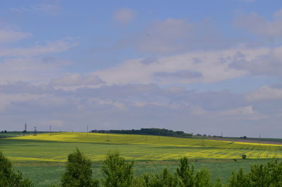 Scenic view of agricultural field against sky