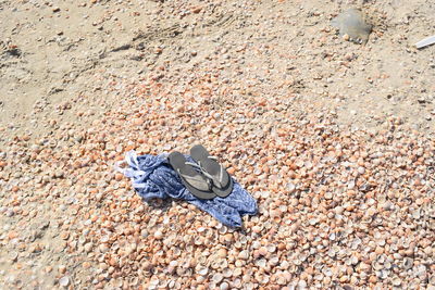 High angle view of flip-flops on seashells covered beach