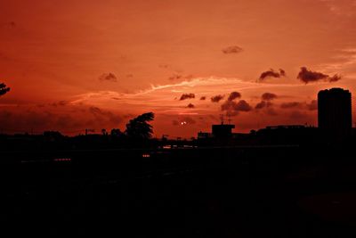 Silhouette of trees at sunset