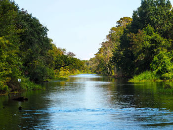 Scenic view of lake in forest against sky