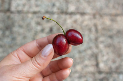 Cropped image of woman holding cherries