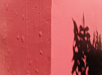 Close-up of pink wall