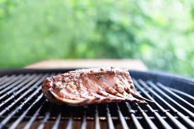 Close-up of meat on barbecue grill