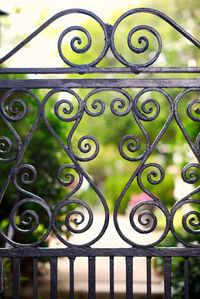 Close-up of metal fence