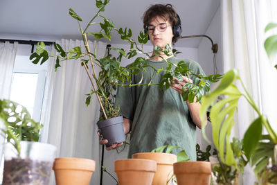 A young man holding mini monstera rhaphidophora. cultivation and caring for indoor potted plants.