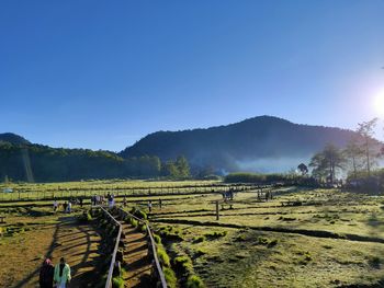 Panoramic view of agricultural field against sky