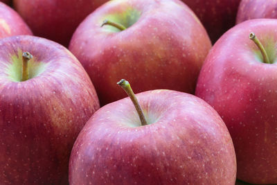 Full frame shot of apples