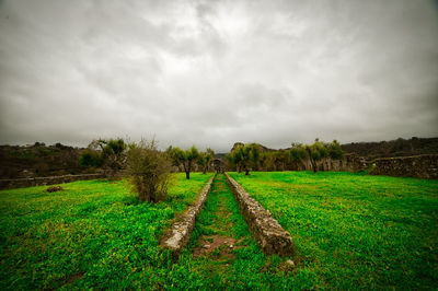 Scenic view of field against sky